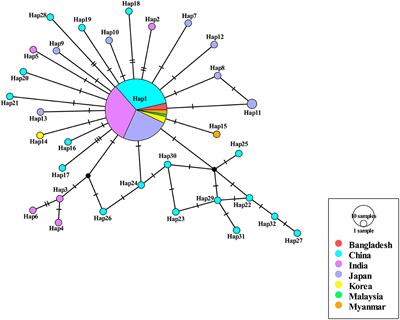 Analysis of genetic diversity and population structure of Babesia gibsoni